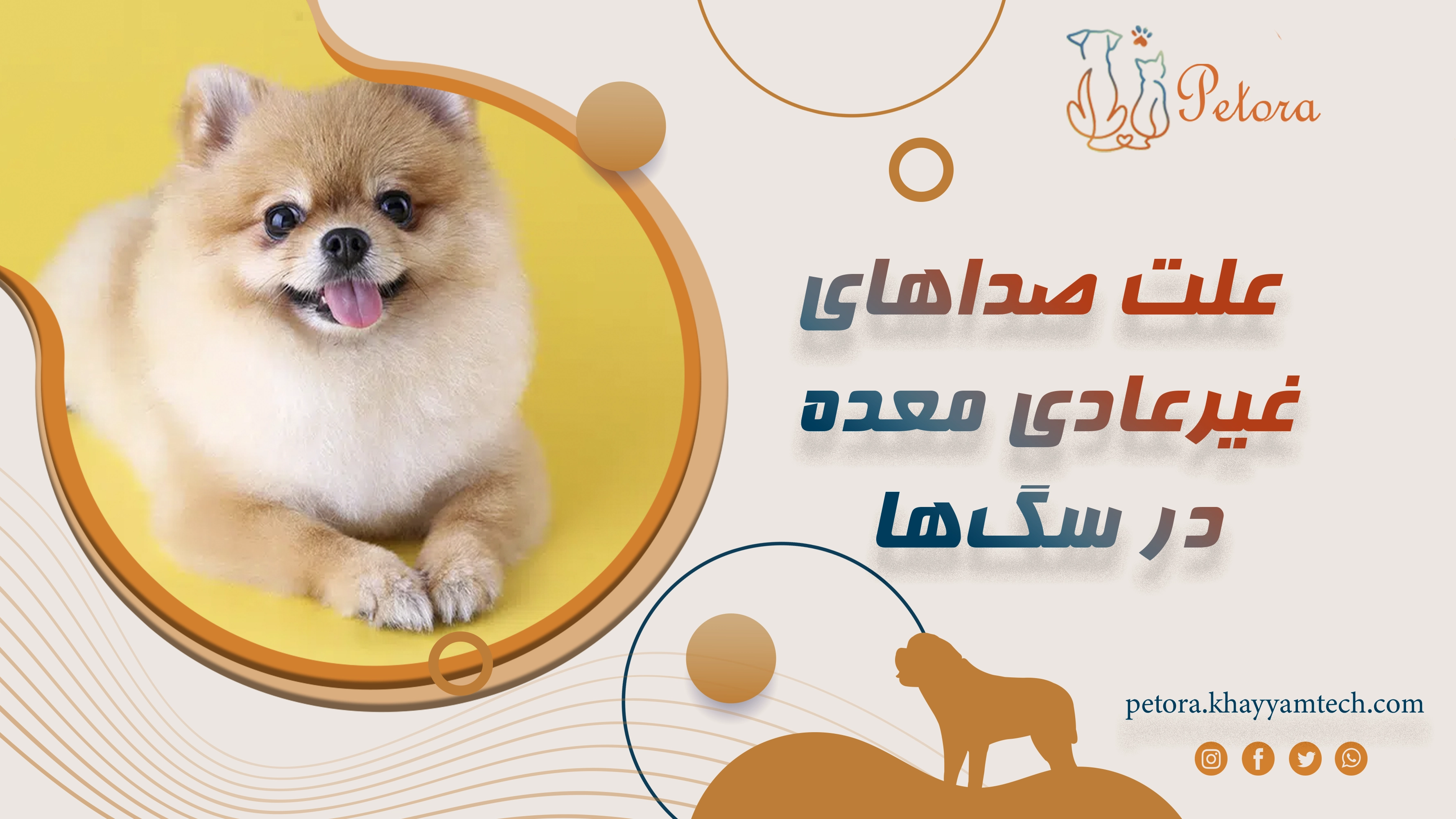 صداهای غیرعادی معده در سگ‌ها (Altered Gastric Noises  Stomach Growling)