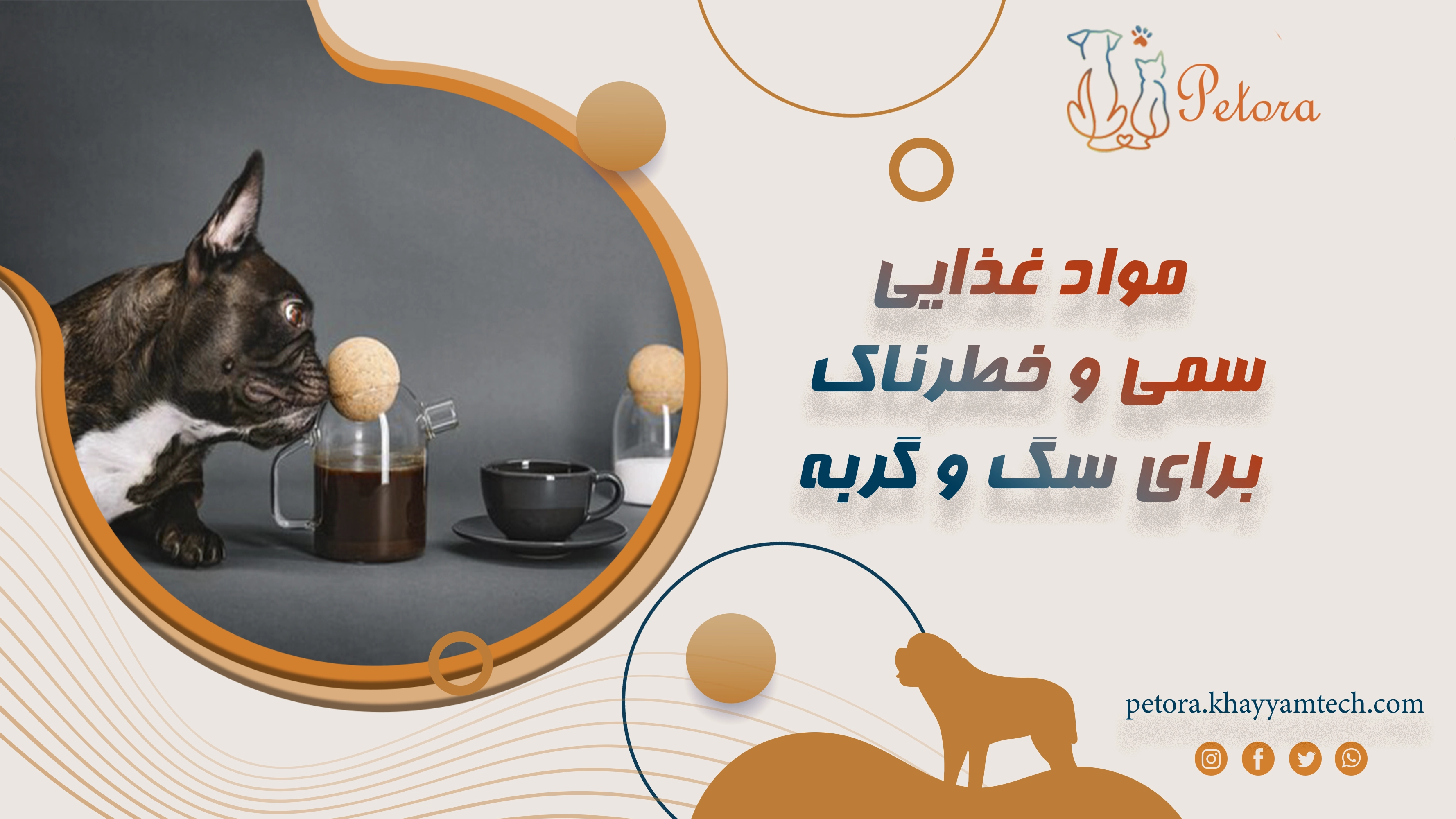 مواد غذایی و سمی خطرناک برای سگ و گربه