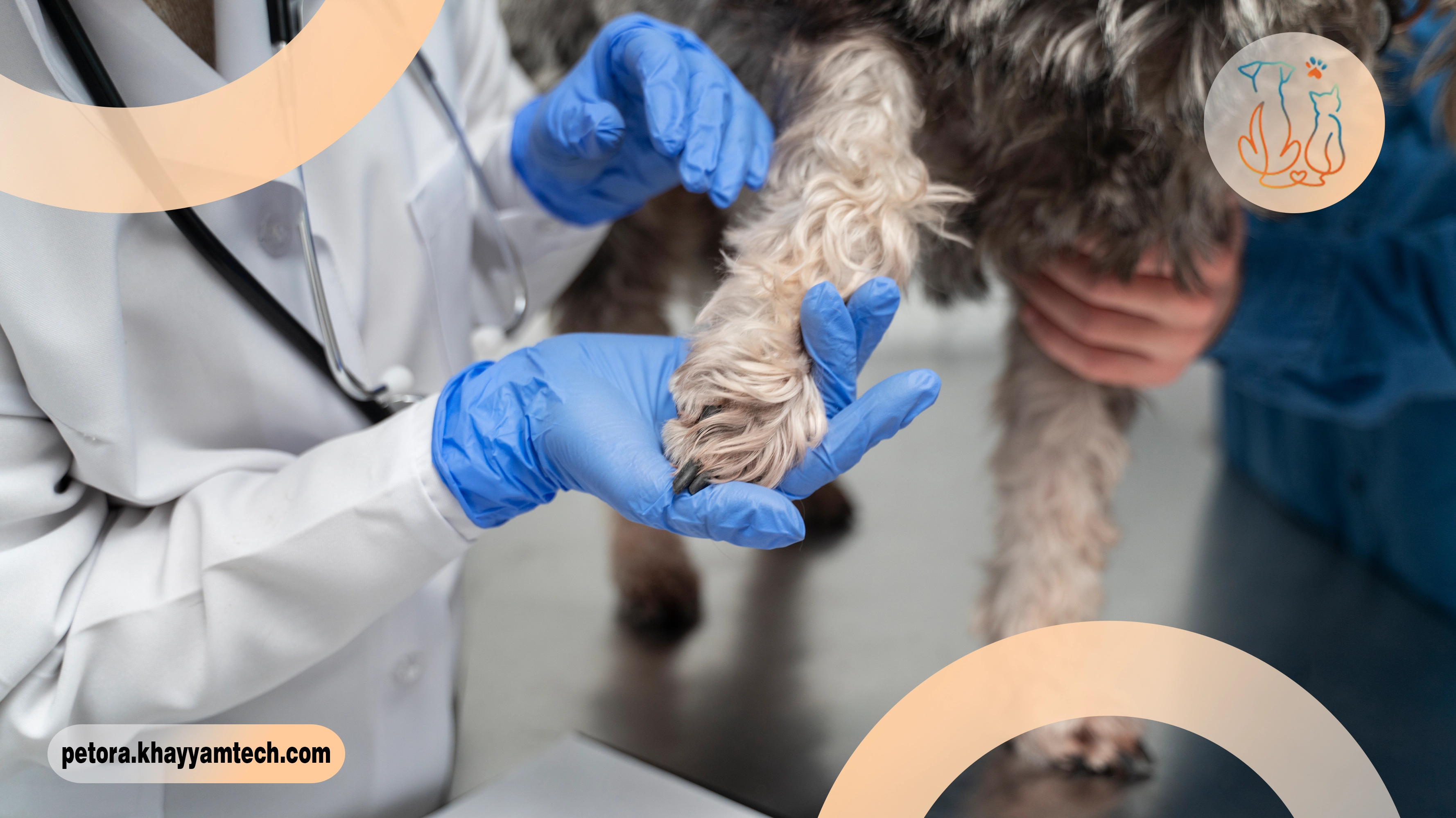 علائم سرطان حیوان خانگی