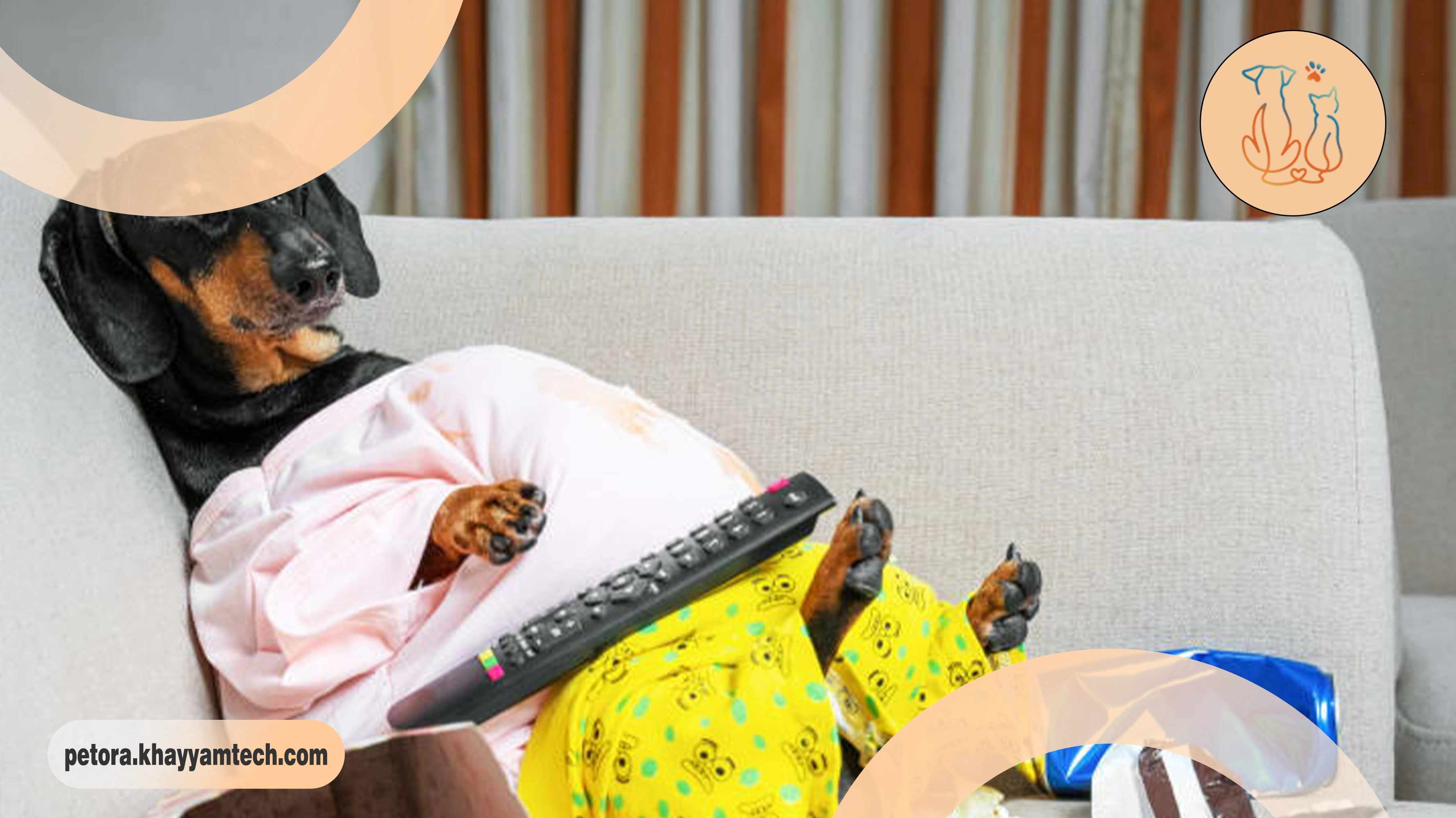 چاقی حیوانات خانگی