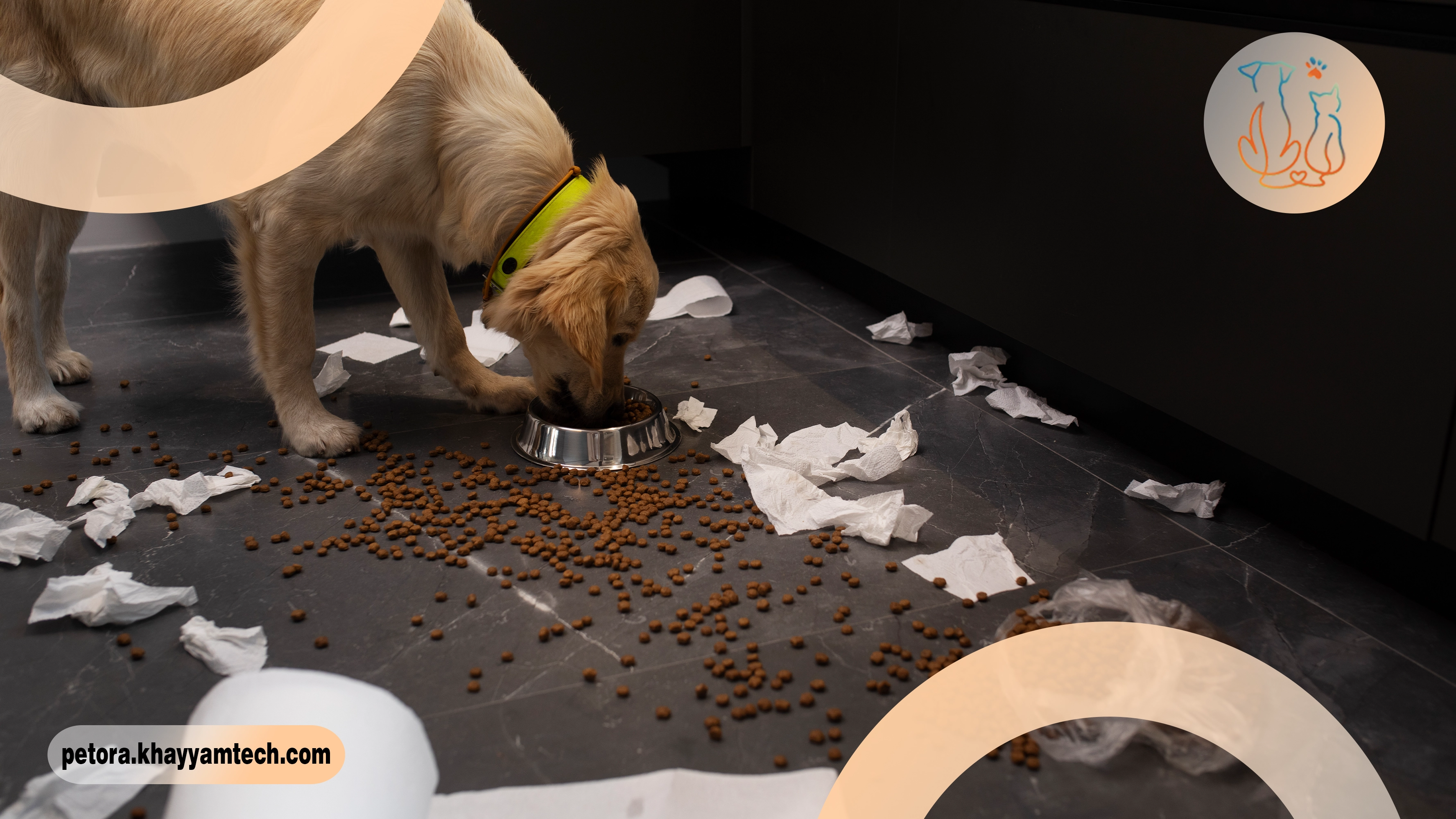 اقدام فوری هنگام مسمومیت