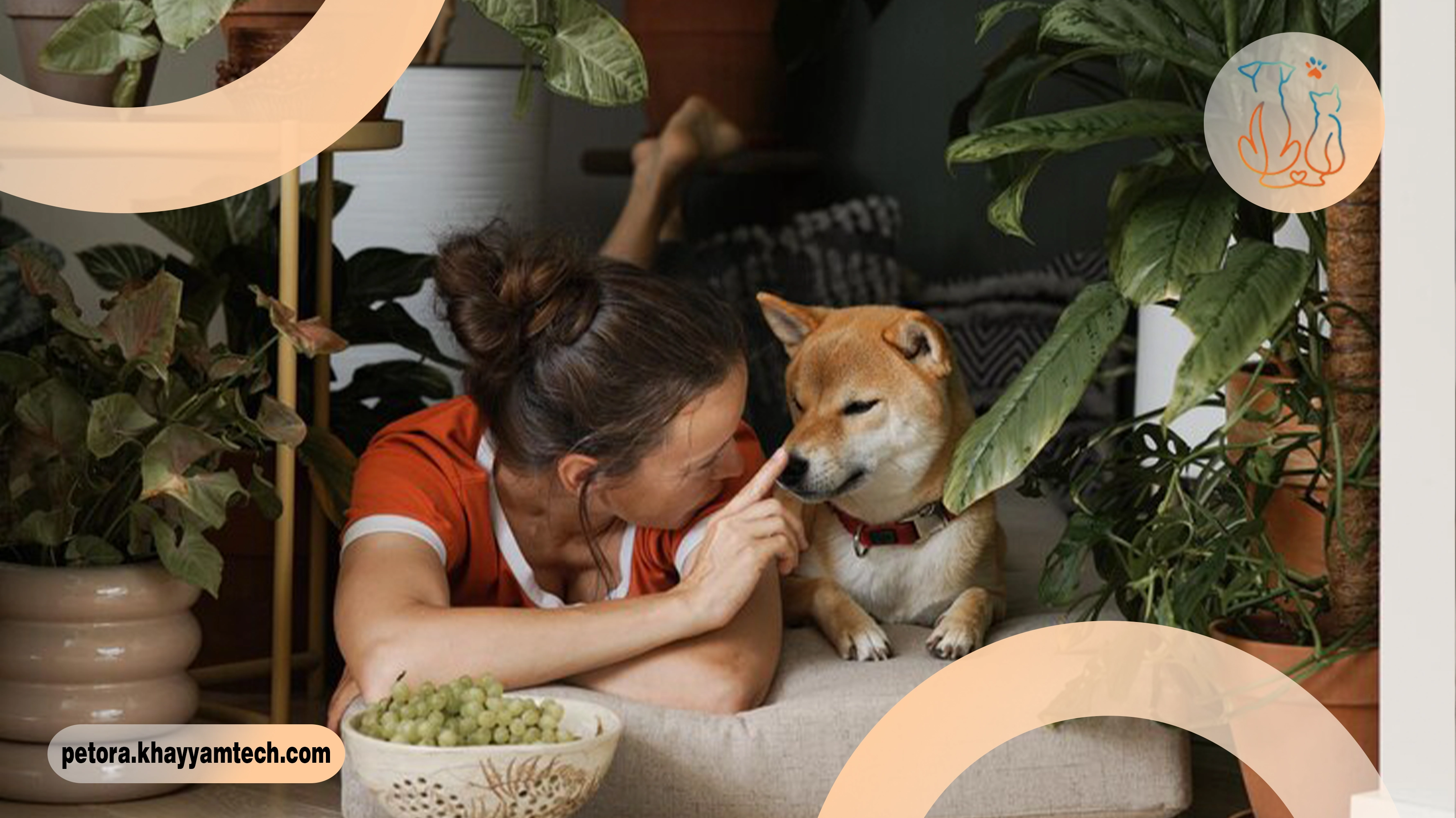 گیاهان سم دار برای حیوانات خانگی