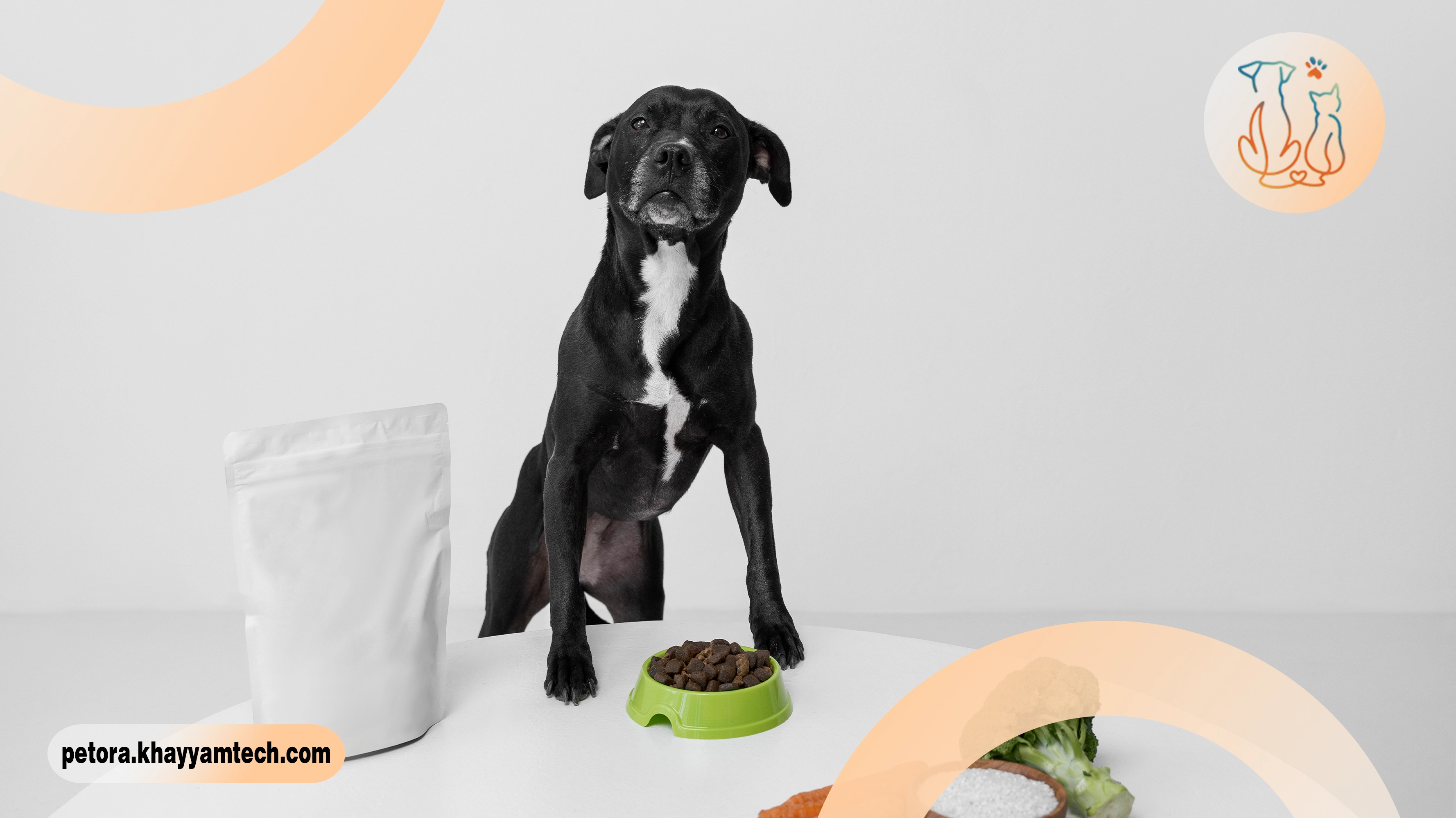 غذای حیوانات خانگی