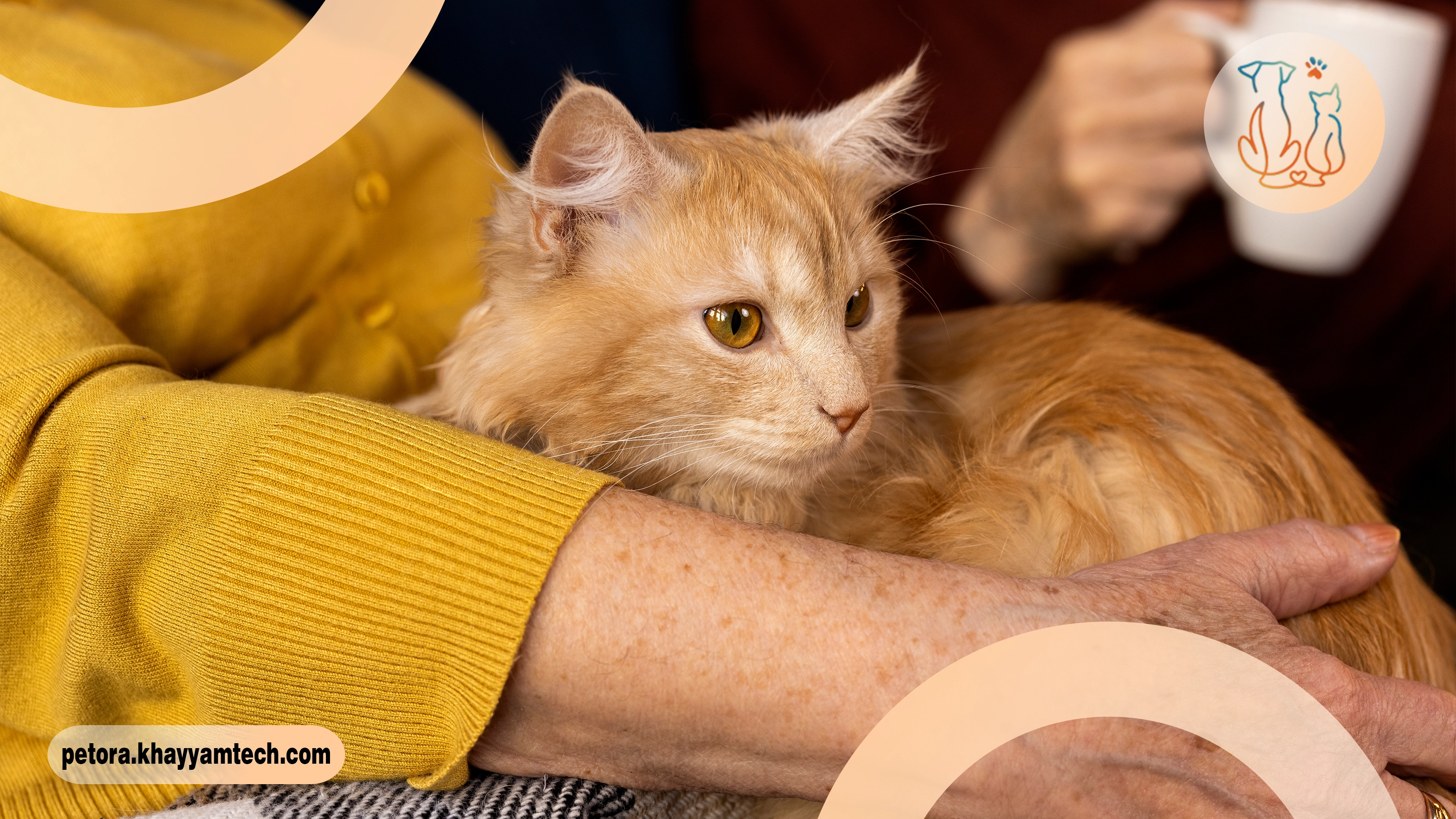 درمان سرطان حیوان خانگی