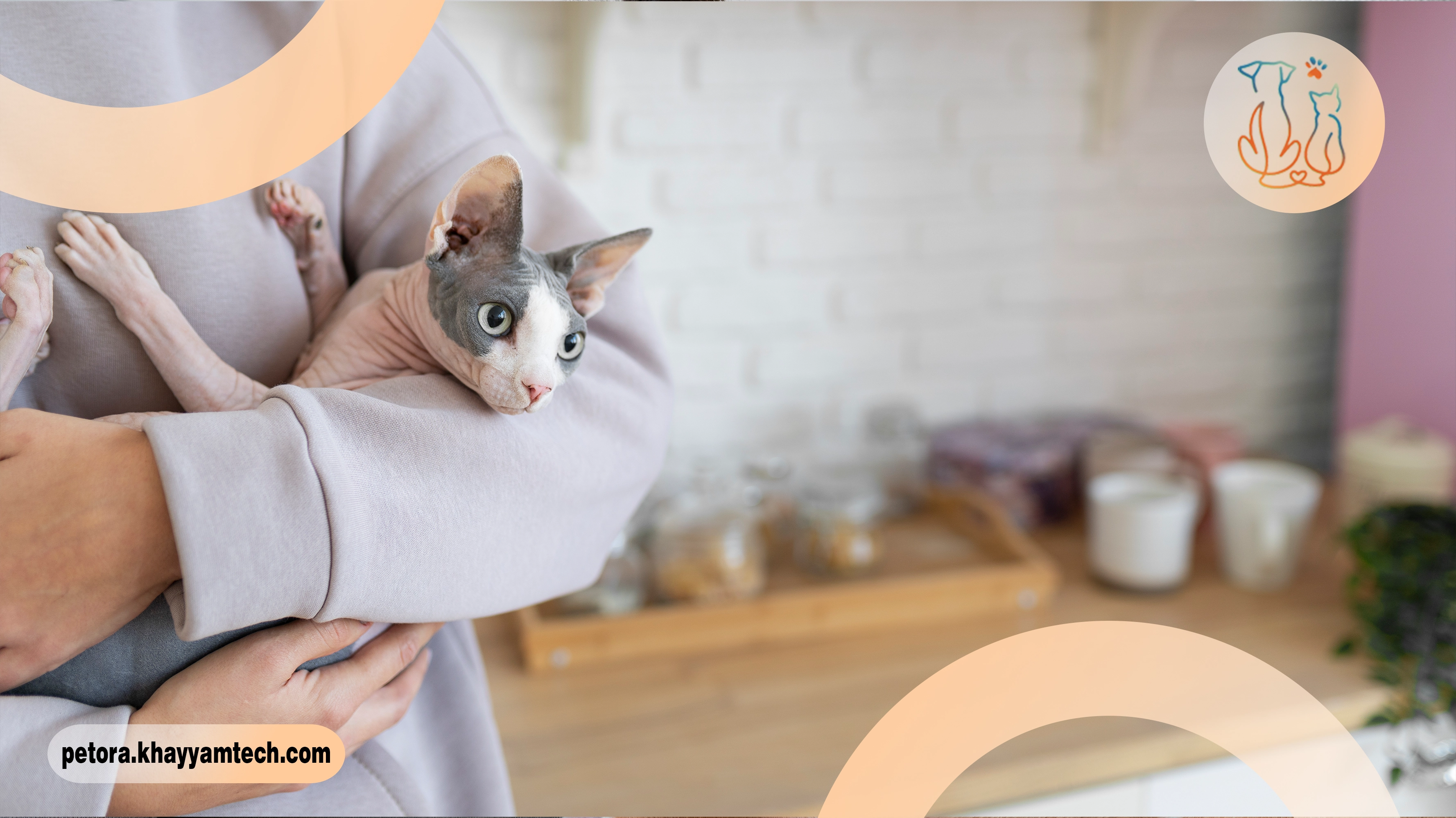 سرطان حیوان خانگی