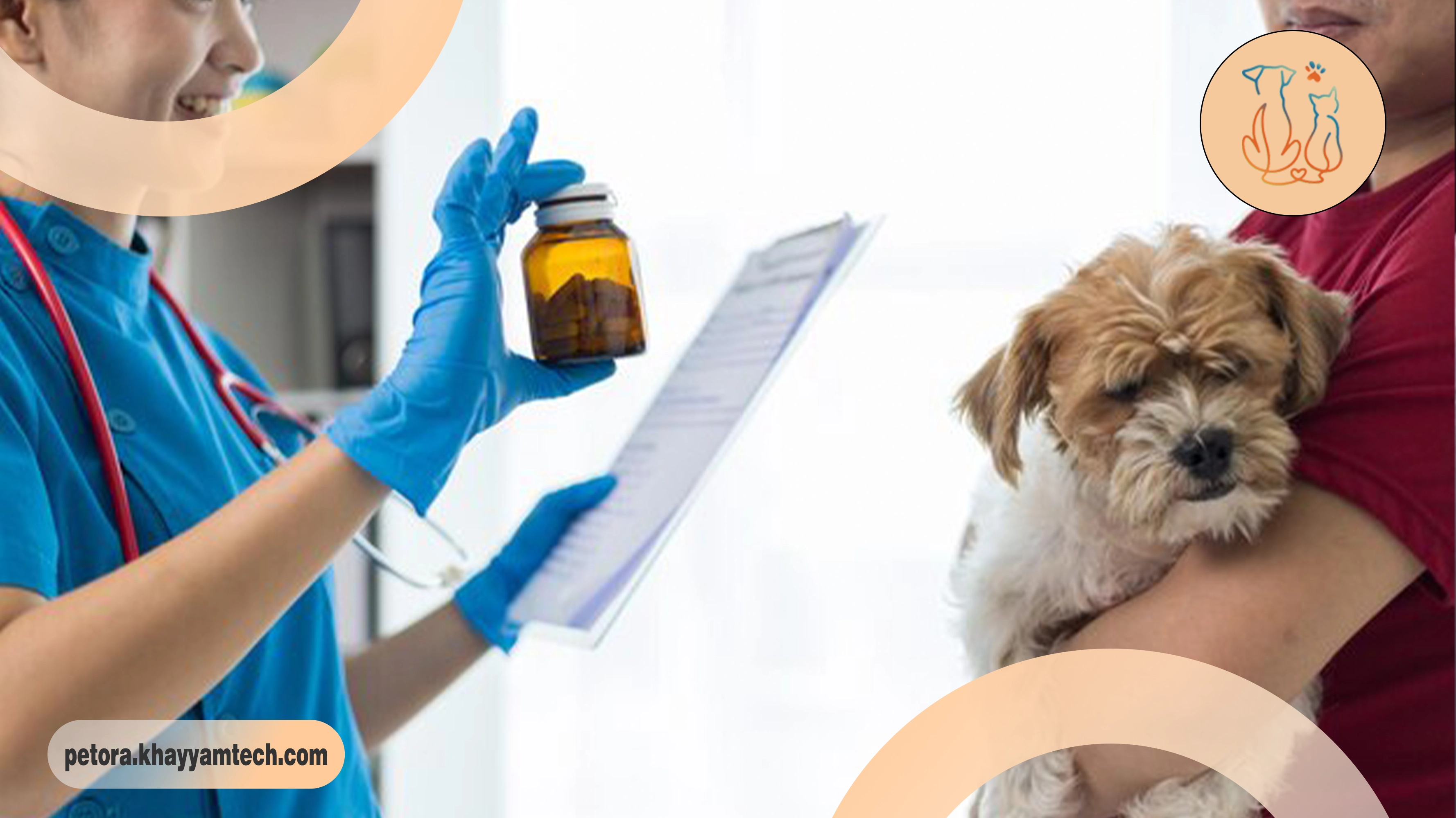 راه های تضمین سلامت