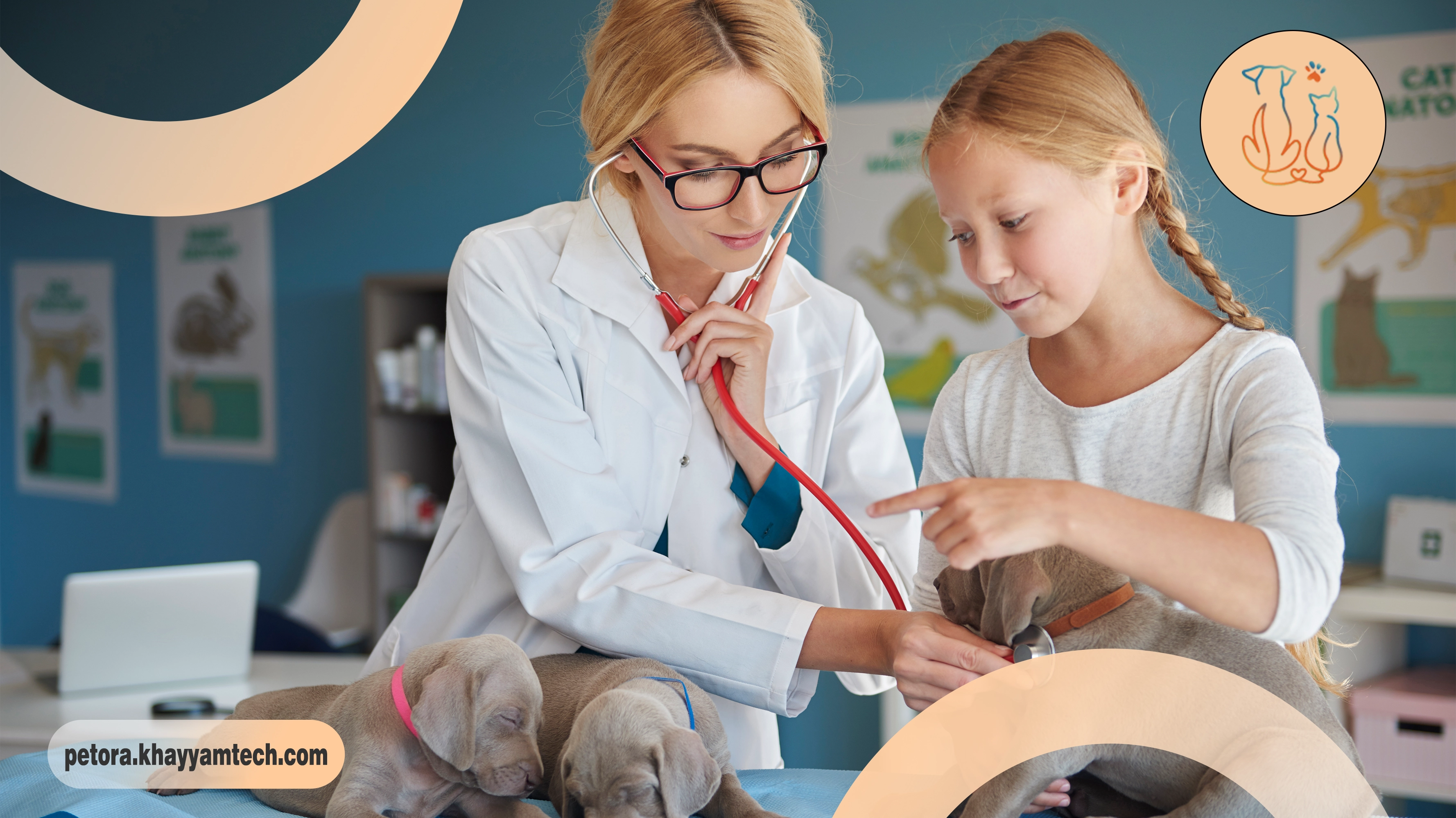 تضمین سلامت پت خانگی